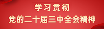 学习贯彻党的二十届三中全会精神